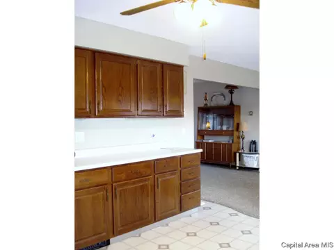 552 Matthews Ct, Oneida, IL 61467 photo 14