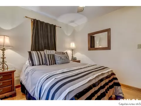 44 Archer Ave, Springfield, IL 62704 photo 15