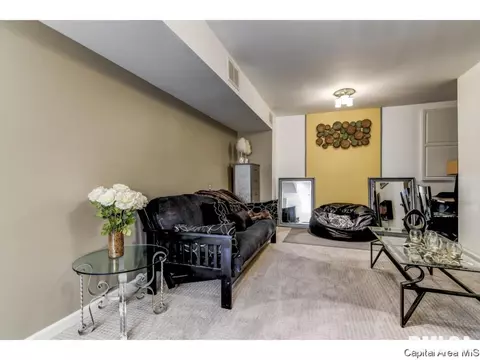 2404 Gander Rd, Springfield, IL 62711 photo 30