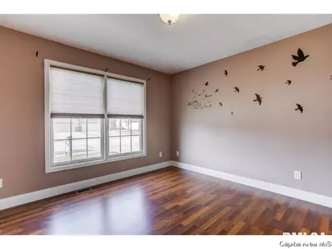 2910 Cronin, Springfield, IL 62711 photo 26