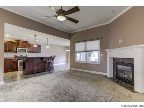 2910 Cronin, Springfield, IL 62711 photo 5