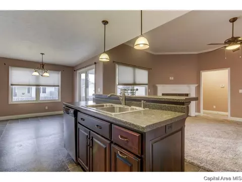 2910 Cronin, Springfield, IL 62711 photo 12