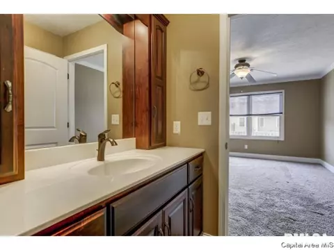 2910 Cronin, Springfield, IL 62711 photo 19