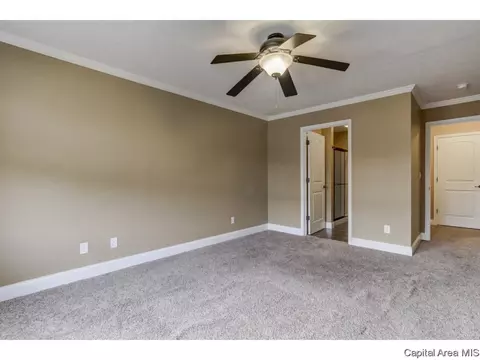 2910 Cronin, Springfield, IL 62711 photo 16