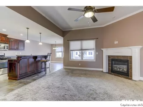 2910 Cronin, Springfield, IL 62711 photo 3