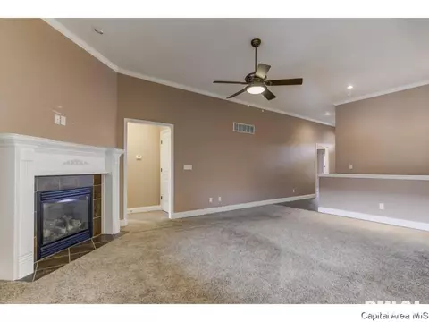 2910 Cronin, Springfield, IL 62711 photo 4