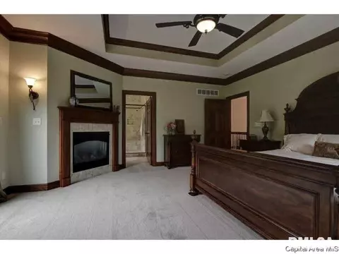 16 Hickory Rdg, Springfield, IL 62707 photo 24