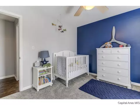 3809 Kerry Blvd, Springfield, IL 62712 photo 25