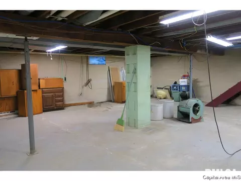1513 E Walnut St, Chatham, IL 62629 photo 26