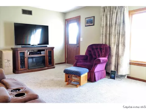 1513 E Walnut St, Chatham, IL 62629 photo 10