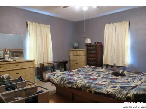 1513 E Walnut St, Chatham, IL 62629 photo 18