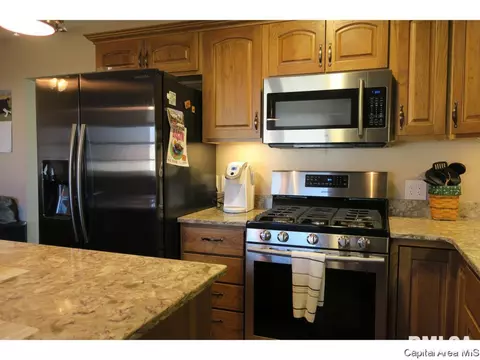 1513 E Walnut St, Chatham, IL 62629 photo 7