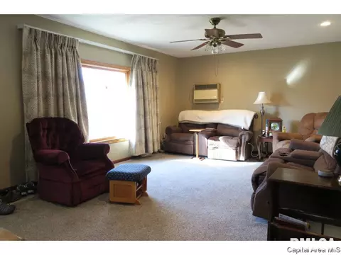 1513 E Walnut St, Chatham, IL 62629 photo 12
