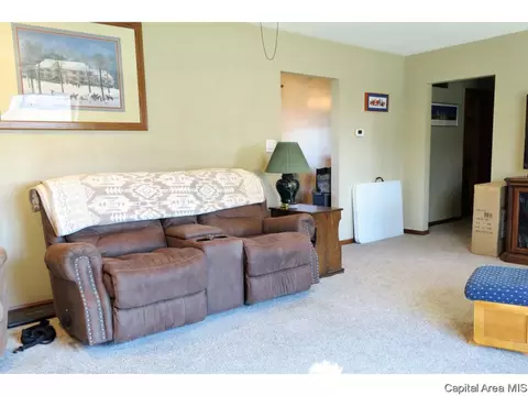 1513 E Walnut St, Chatham, IL 62629 photo 8