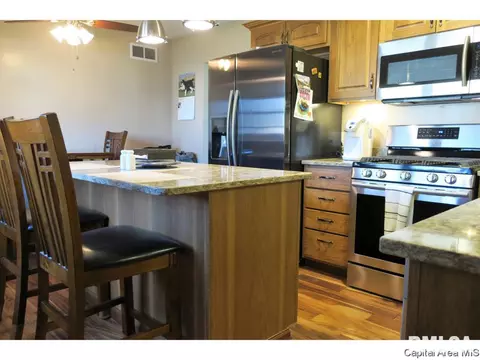 1513 E Walnut St, Chatham, IL 62629 photo 14
