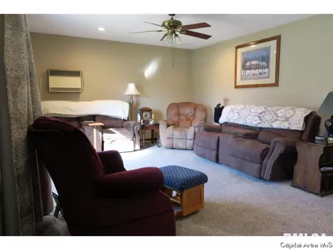 1513 E Walnut St, Chatham, IL 62629 photo 9