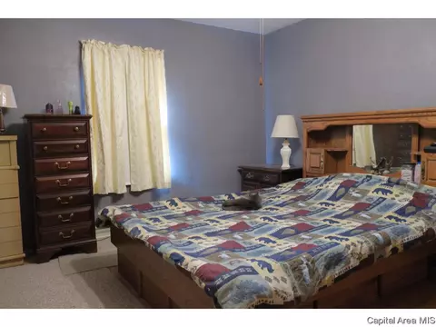 1513 E Walnut St, Chatham, IL 62629 photo 19