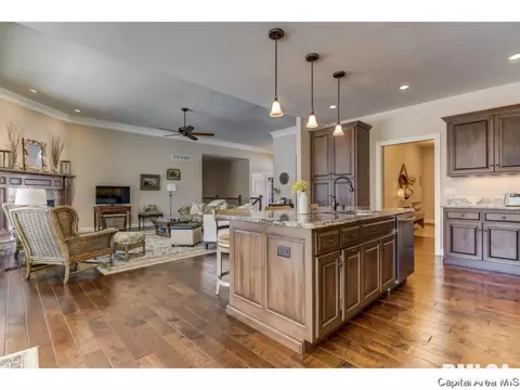 3816 Calla Lily, Springfield, IL 62711 photo 9
