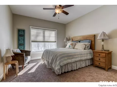 3816 Calla Lily, Springfield, IL 62711 photo 21