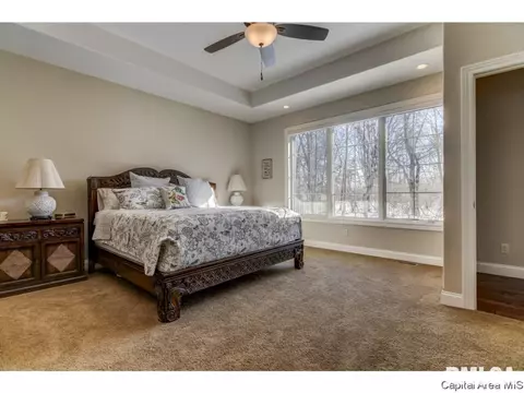3816 Calla Lily, Springfield, IL 62711 photo 26