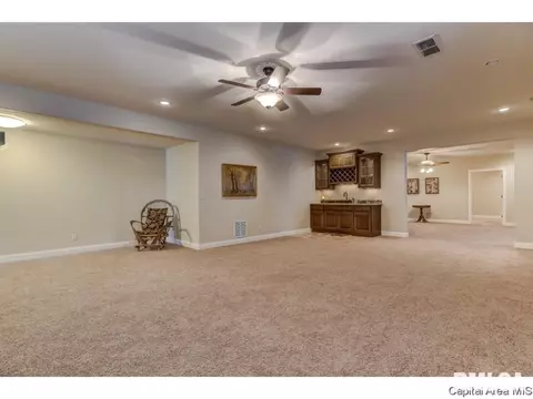 3816 Calla Lily, Springfield, IL 62711 photo 29