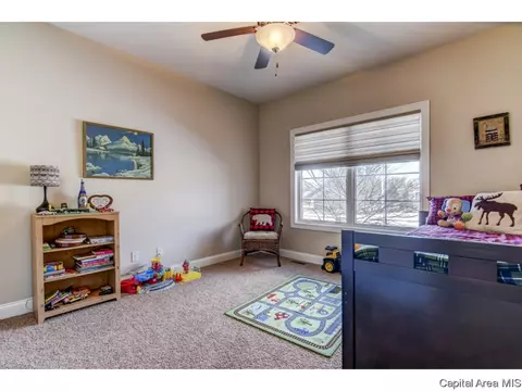 3816 Calla Lily, Springfield, IL 62711 photo 20