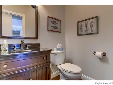 3816 Calla Lily, Springfield, IL 62711 photo 33