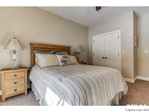3816 Calla Lily, Springfield, IL 62711 photo 22