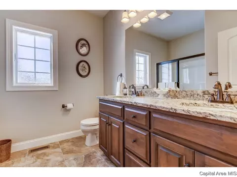 3816 Calla Lily, Springfield, IL 62711 photo 18