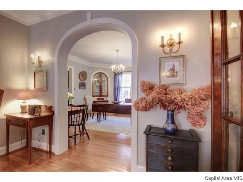 1124 W Vine St, Springfield, IL 62704 photo 21
