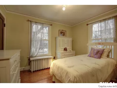 1124 W Vine St, Springfield, IL 62704 photo 19