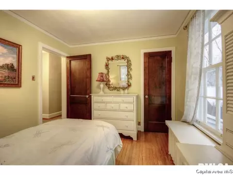 1124 W Vine St, Springfield, IL 62704 photo 20