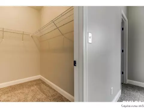 3710 Bristlecone, Springfield, IL 62712 photo 20