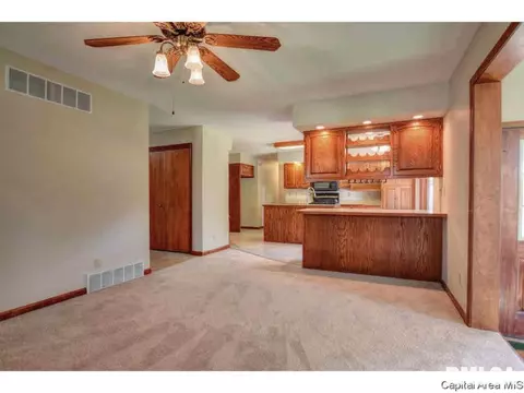 3516 Persimmon Dr, Springfield, IL 62712 photo 11