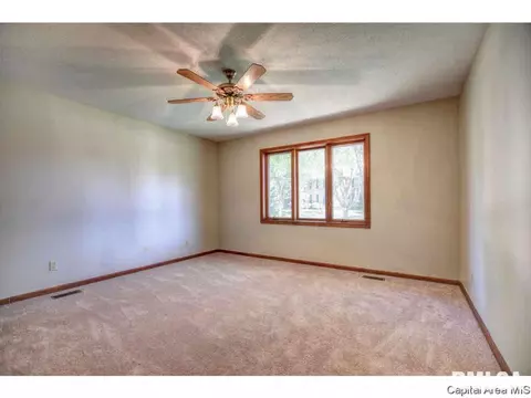 3516 Persimmon Dr, Springfield, IL 62712 photo 26