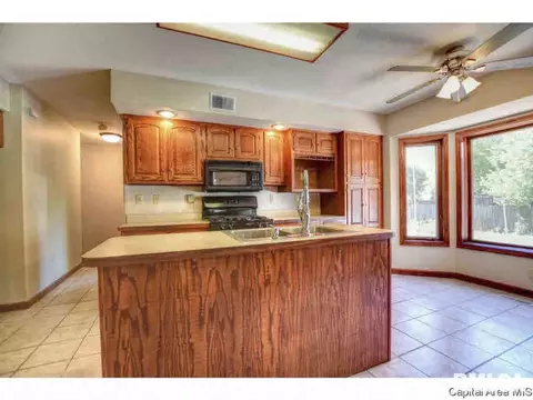 3516 Persimmon Dr, Springfield, IL 62712 photo 9