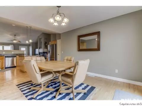 458 Chris, Springfield, IL 62711 photo 9