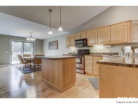 458 Chris, Springfield, IL 62711 photo 7