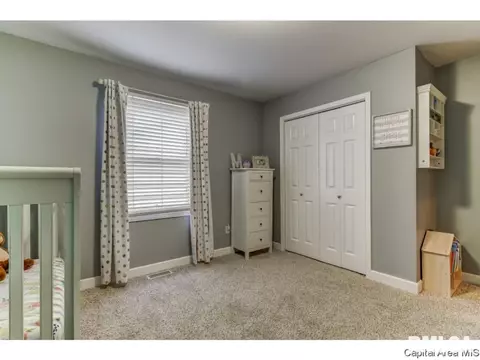 458 Chris, Springfield, IL 62711 photo 14
