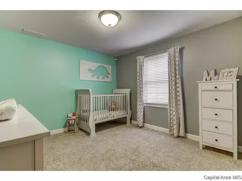458 Chris, Springfield, IL 62711 photo 12