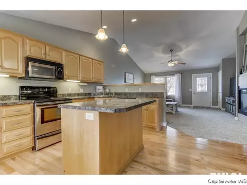 458 Chris, Springfield, IL 62711 photo 8