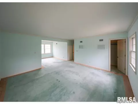 45 Forest Ridge Rdg, Springfield, IL 62712 photo 19