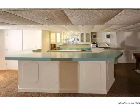 45 Forest Ridge Rdg, Springfield, IL 62712 photo 22