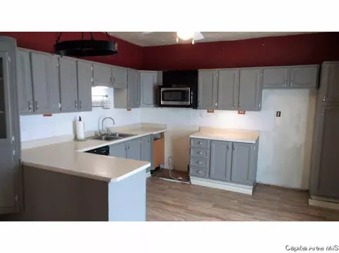 306 W Meek St, Abingdon, IL 61410 photo 10