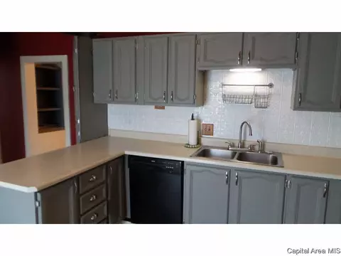 306 W Meek St, Abingdon, IL 61410 photo 13