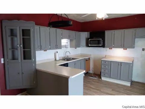 306 W Meek St, Abingdon, IL 61410 photo 11