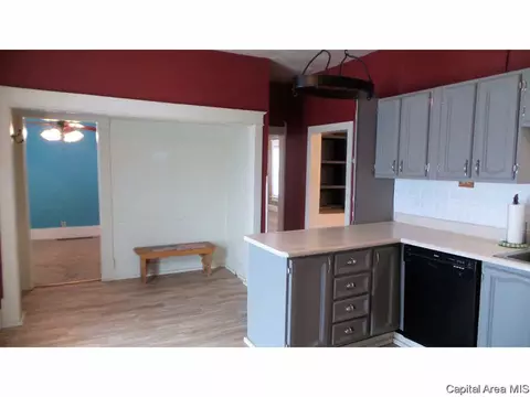 306 W Meek St, Abingdon, IL 61410 photo 12