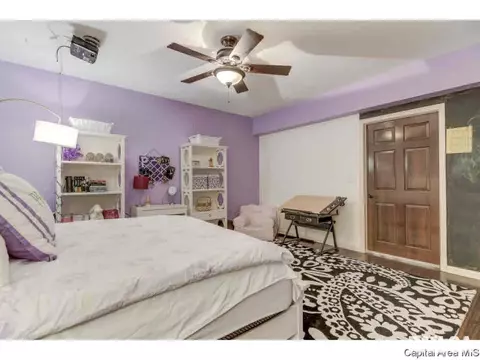 4500 Blackwolf, Springfield, IL 62711 photo 24