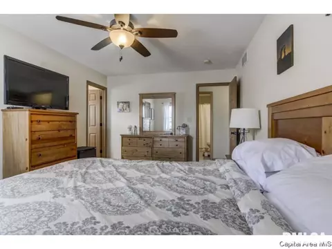 3802 Bristlecone Dr, Springfield, IL 62712 photo 15