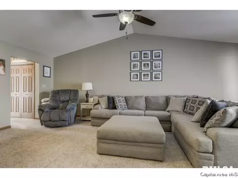 3802 Bristlecone Dr, Springfield, IL 62712 photo 9